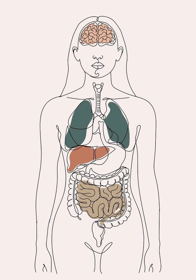 Guide to Visceral Manipulation