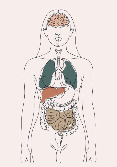 Guide to Visceral Manipulation